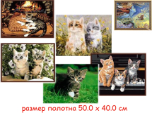 Н/для творчества - картина по номерам - котята 40 х 50 см  (5 видов : GX6589, GX6858, G294, G361, GX