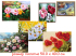 Н/для творчества - картина по номерам - цветы 40 х 50 см  (5 видов : GX7312, GX7506, GX7531, GX7646,